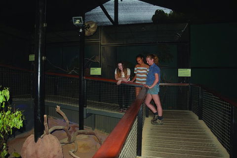 Kuranda Koala Gardens General Entry Ticket - Restaurant Guide 2