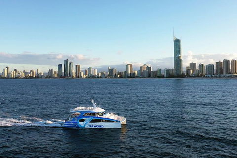 Whale Watching By Sea World Cruises - Restaurant Guide 1