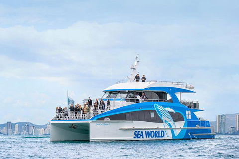 Whale Watching By Sea World Cruises - Restaurant Guide 3