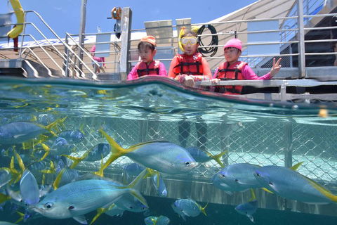 Outer Reef Pontoon Experience From Cairns - Restaurant Guide 0