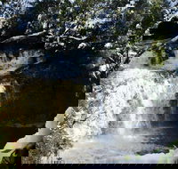 Cradle Mountain Day Tour from Launceston Including Lunch - Restaurant Guide