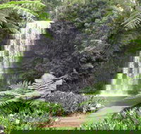 Private Daintree and Cape Tribulation Tour from Port Douglas - Restaurant Guide