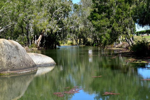 Private Daintree And Cape Tribulation Tour From Port Douglas - Restaurant Guide 3