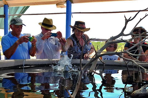 Cape Leveque 4WD Tour From Broome With Optional Return Flight - Restaurant Guide 0