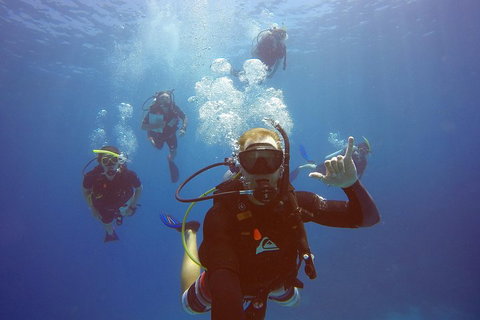 12-Day Great Barrier Reef Marine Conservation Program From Cairns - Restaurant Guide 0