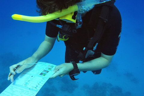 12-Day Great Barrier Reef Marine Conservation Program From Cairns - Restaurant Guide 2