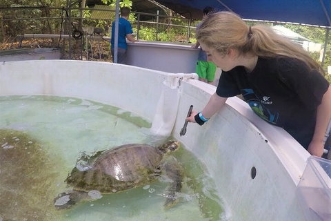 12-Day Great Barrier Reef Marine Conservation Program From Cairns - Restaurant Guide 4