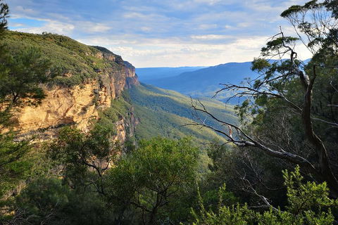 Blue Mountains Day Tour With Wildlife At Sunset From Sydney - Restaurant Guide 5
