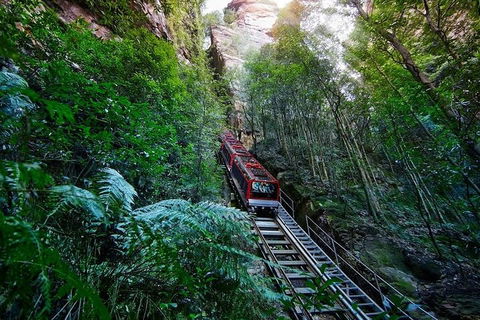 Blue Mountains Private Tour With Kangaroos & Koala Encounter - Restaurant Guide 1