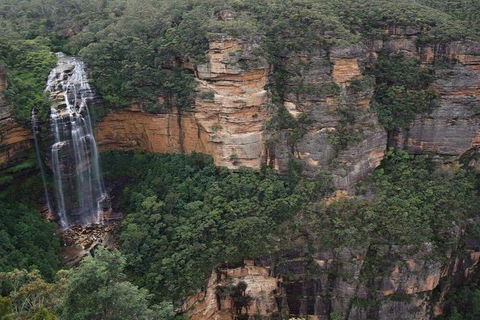 Blue Mountains Private Tour With Kangaroos & Koala Encounter - Restaurant Guide 2