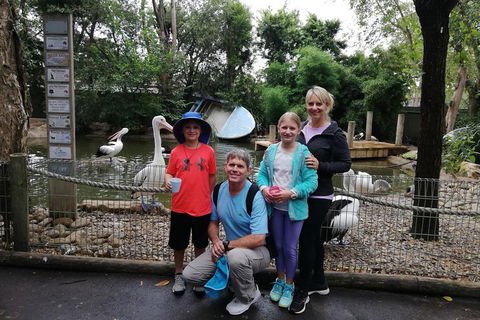 Blue Mountains Private Tour With Kangaroos & Koala Encounter - Restaurant Guide 4