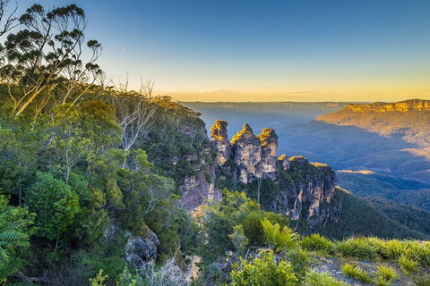 Blue Mountains Private Tour With Kangaroos & Koala Encounter - Restaurant Guide 5