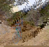 Mount Lofty Descent Bike Tour from Adelaide - Restaurant Guide