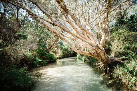 3-Day Fraser Island Resort Package - Restaurant Guide 5