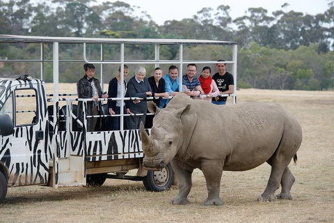 Off-Road Safari At Werribee Open Range Zoo - Restaurant Guide 0