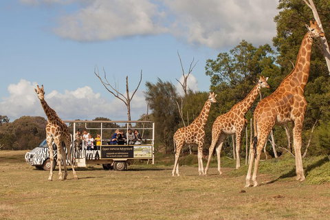Off-Road Safari At Werribee Open Range Zoo - Restaurant Guide 3