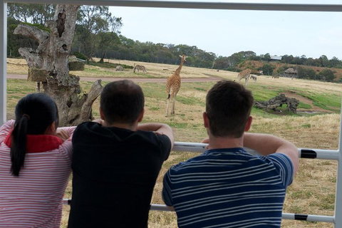 Off-Road Safari At Werribee Open Range Zoo - Restaurant Guide 4
