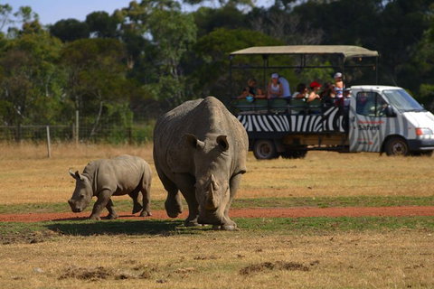 Off-Road Safari At Werribee Open Range Zoo - Restaurant Guide 5