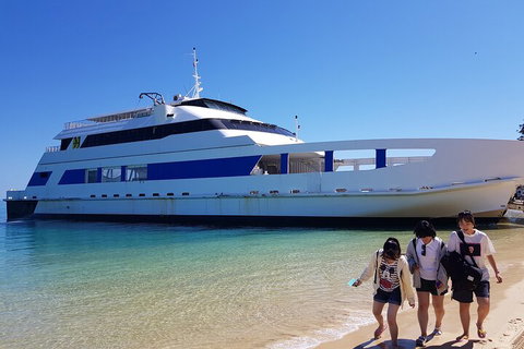 Moreton Island Day Trip (Kayak, Snorkel & Sandboard) Frm Brisbane Or Gold Coast - Restaurant Guide 0