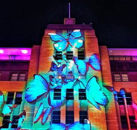 Vivid 90-Minute Sydney Harbour Small Group Catamaran Cruise - Restaurant Guide