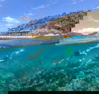 Great Barrier Reef Scenic Flight and Ocean Rafting Whitehaven Beach Day Trip - Restaurant Guide