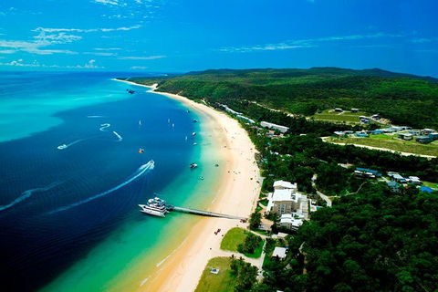 Tangalooma Island Resort Whale Watching Day Cruise - Restaurant Guide 2