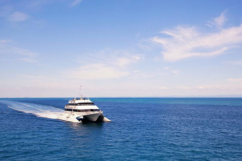 Tangalooma Island Resort Whale Watching Day Cruise - Restaurant Guide 5
