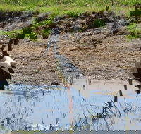 Darwin to Kakadu Day Trip by Air Including Yellow Water Cruise - Restaurant Guide