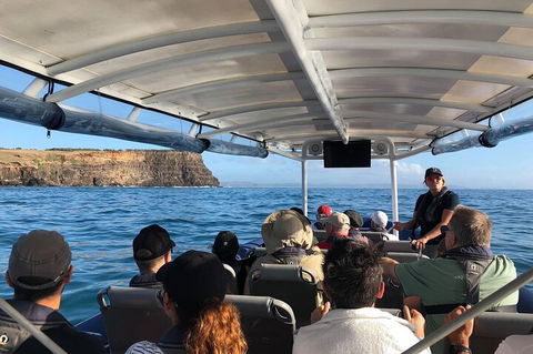 Julian Rocks Byron Bay Cruise - Restaurant Guide 4