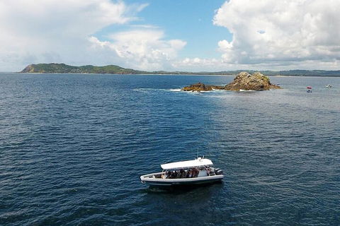 Julian Rocks Byron Bay Cruise - Restaurant Guide 5