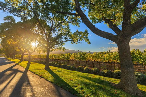 Very Best Of Perth Tour - Wildlife Park & City Highlights Tour - Restaurant Guide 2