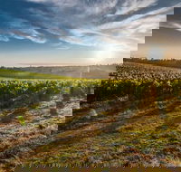 Perth to Margaret River Wine Tour - 2 Day Premium Boutique Wine Tour Experience - Restaurant Guide