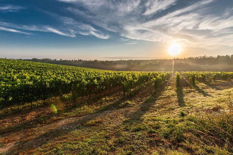 Perth To Margaret River Wine Tour - 2 Day Premium Boutique Wine Tour Experience - Restaurant Guide 0