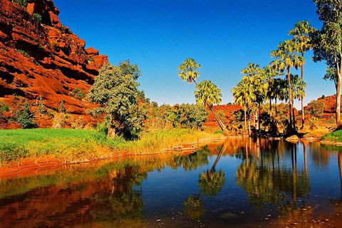 Palm Valley 4WD Day Tour - Restaurant Guide 2