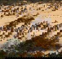 Pinnacles Sunset Dinner and Stargazing Experience a Small Group Tour - Restaurant Guide
