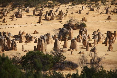 Pinnacles Sunset Dinner And Stargazing Experience A Small Group Tour - Restaurant Guide 0