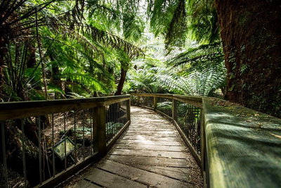 12 Apostles Eco-Friendly Great Ocean Road Iconic Adventure from Melbourne