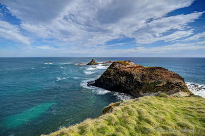 Small-Group Phillip Island Day Trip from Melbourne with Penguin Plus Viewing
