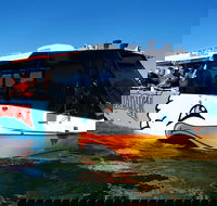Paradise Jet Boating and Aquaduck Combo - Restaurant Guide