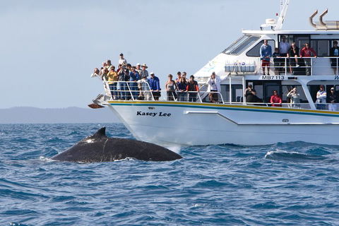 Phillip Island Whale Watching Tour - Restaurant Guide 4
