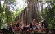Atherton Tablelands Waterfalls Tour From Cairns - thumb 5
