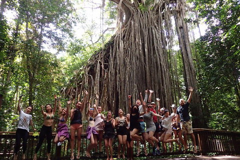 Atherton Tablelands Waterfalls Tour From Cairns - Restaurant Guide 5