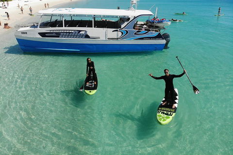 Whitsunday Bullet Day Trip - Whitehaven Beach And Snorkelling - Restaurant Guide 4
