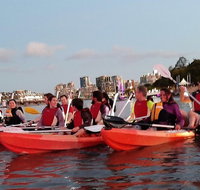 Brisbane River Guided Evening Tour by Kayak - Our Most Popular Tour - Restaurant Guide