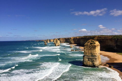 Great Ocean Road Reverse Itinerary Tour - Restaurant Guide 4