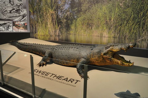 Explore Darwin City Sights Including Key Attractions - Restaurant Guide 2