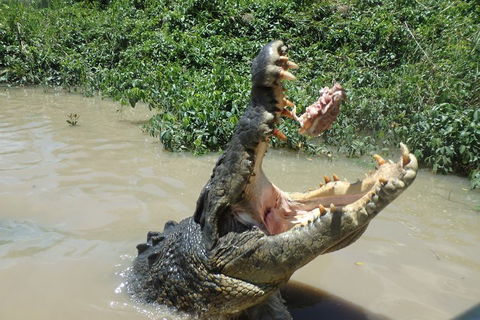 Litchfield And Jumping Crocodiles Full Day Trip From Darwin - Restaurant Guide 3