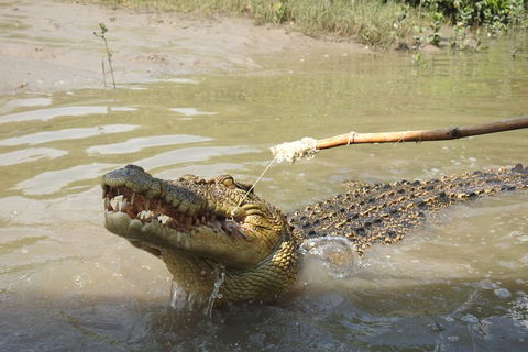 Litchfield And Jumping Crocodiles Full Day Trip From Darwin - Restaurant Guide 4
