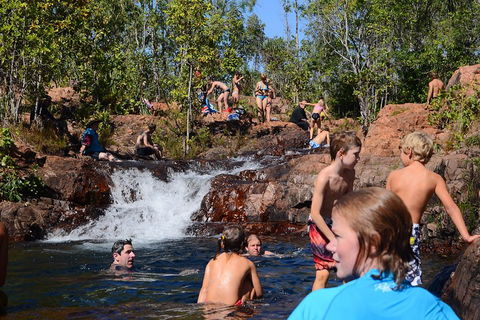 Litchfield And Jumping Crocodiles Full Day Trip From Darwin - Restaurant Guide 5