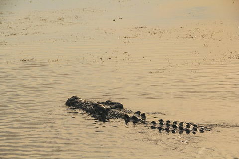 Yellow Water Cruise - Kakadu - Restaurant Guide 2